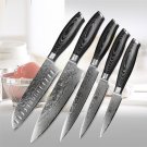 5 Pcs Kitchen Knives Set Japanese Vg10 Damascus Stainless Steel Cleaver Chef