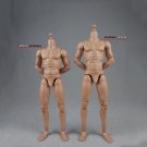 1/6 2.0 Muscle Male Body Bd003 /Bd004 Wide Shoulder Normal/High Version Action