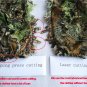 New 3D maple leaf Bionic Ghillie Suits Yowie sniper birdwatch airsoft Camouflage