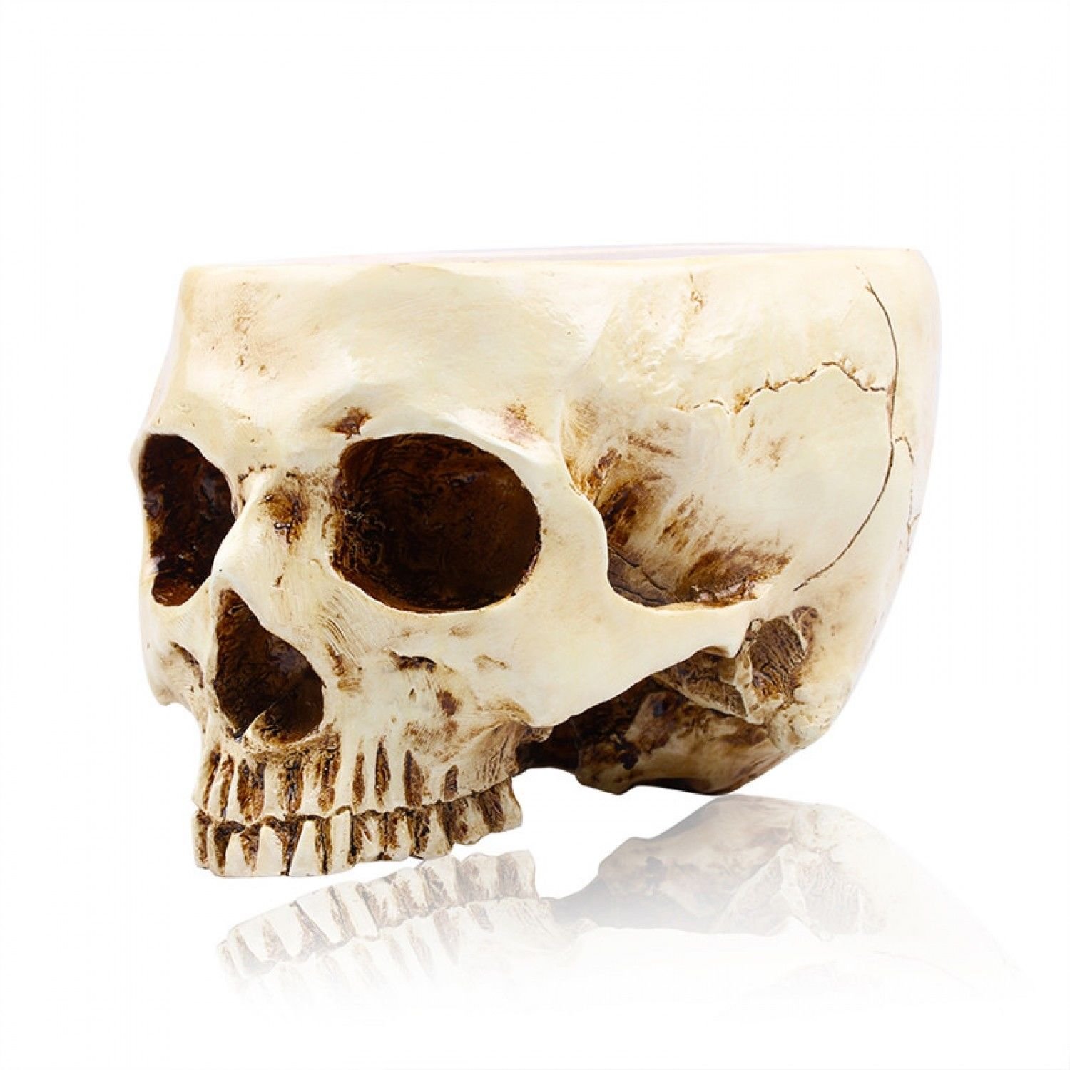 P-Flame Human Skull Flower Pot Multifunctional Storage Tank Decoration