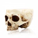 P-Flame Human Skull Flower Pot Multifunctional Storage Tank Decoration