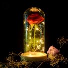 Birthday Gift Beauty and the Beast Red Rose w/ Fallen Petals in a Glass Dome