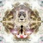 Peace-Therapy 1,2&3 Kagdila-Records/Psytrance/Goa Trance,/Ambient/Psy Trance !!!