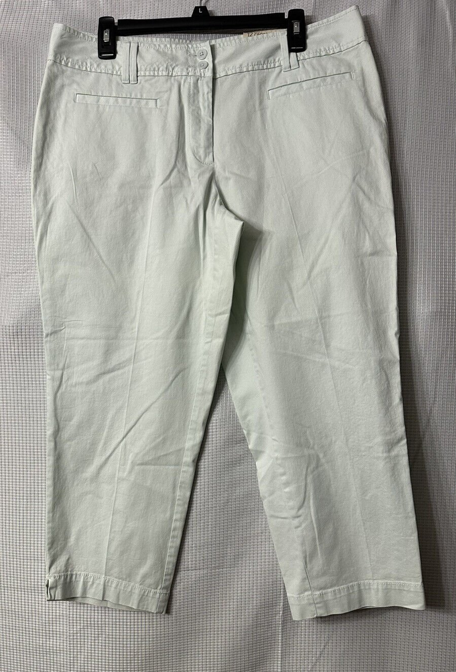 NWT Ann Taylor Loft Julie Cropped Curvy Fit Womens Casual Pants Slacks Size 12
