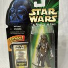 Hasbro Star Wars Hoth Chewbacca With Bowcaster Rifle Action Figure NIP