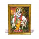 Krishna with Cow in Photo Frame - Om Pooja Shop