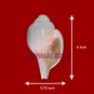 Flower Carving Natural Blowing Shankha for Blowing - Om Pooja Shop