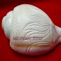 Lotus Flower Carving Natural Bajanewala Shankha - Om Pooja Shop