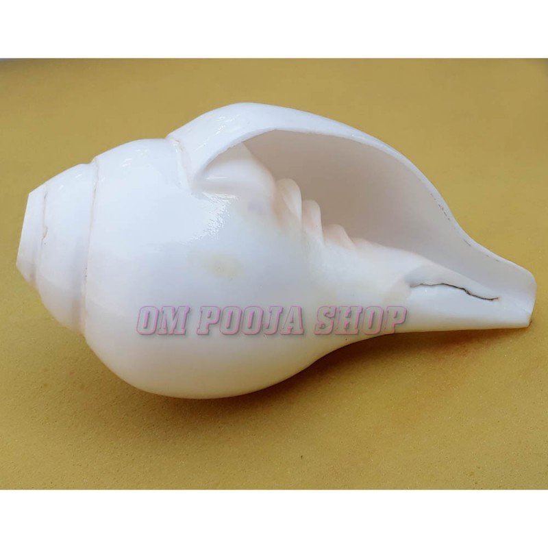 Original Blowing (Bajane Wala) Shankh - Om Pooja Shop