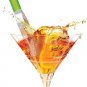 Premium Tea Infuser Variety Pack for Flavoring Gin and Tonic Cocktails With Tea, Herbs and Flowers