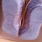 SZ 5 EXOTIC WOMEN'S BOUTIQUE FLAT SHOES W. LOGO EMBLEMS L@@K!!