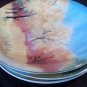 6â SEASONS Â 3 CERAMIC WALL PLATES DECORATIVES L@@K