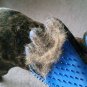 NEW 2018 Dog Shower Sprayer Bath Tool with Grooming Glove