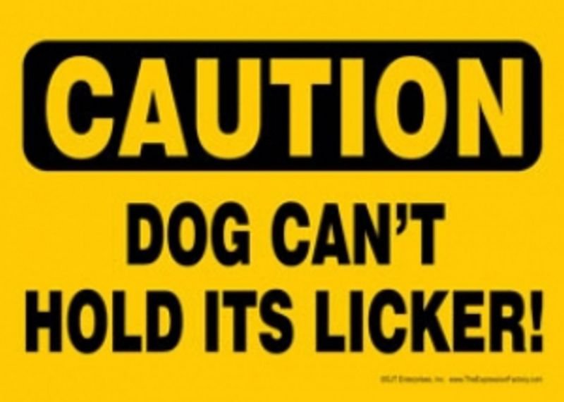 Caution Dog Can't Hold its LickerPlastic & Hook & Loop 5"x7"