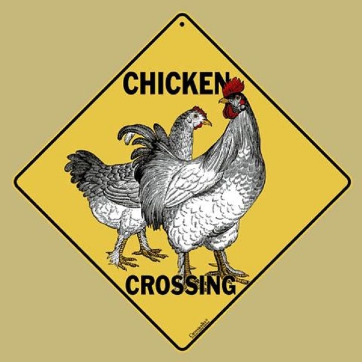 CHICKEN CROSSING Sign, 12" by 12" on sides-16" on Diagonal-Indoor/Out-Aluminum