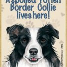 MAGNET--A Spoiled BORDER COLLIE Lives Here Wood Magnet--3.5" X 2.5"