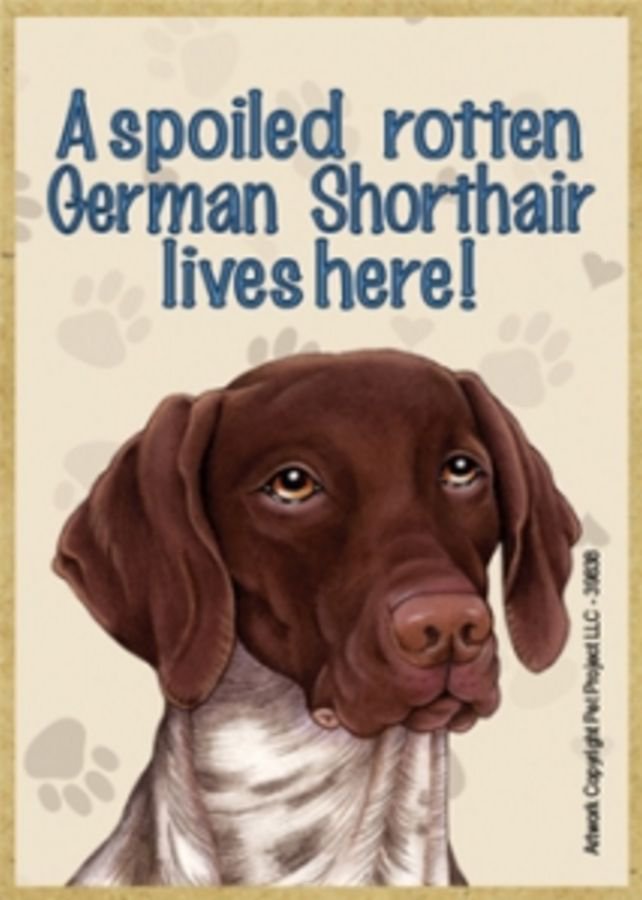 MAGNET--A Spoiled GERMAN SHORTHAIR POINTER Lives Here Wood Magnet--3.5" X 2.5"