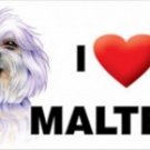 MAGNET--I (Heart) Love My MALTESE 4" X 8" Auto, Fridge, Locker Magnet