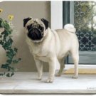 MOUSE PAD--PUG on PORCH  **Beautiful**