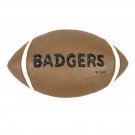 University of Wisconsin Football PIN --with Badgers on it~~So Cute!