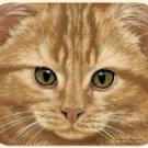 MOUSE PAD--Orange Tabby CAT FACE--Printed in the U.S.A.--Polyester/Neoprene