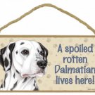 DALMATIAN- A Spoiled Rotten-Dalmatian-Lives Here Wood SIGN/PLAQUE 5 X 10