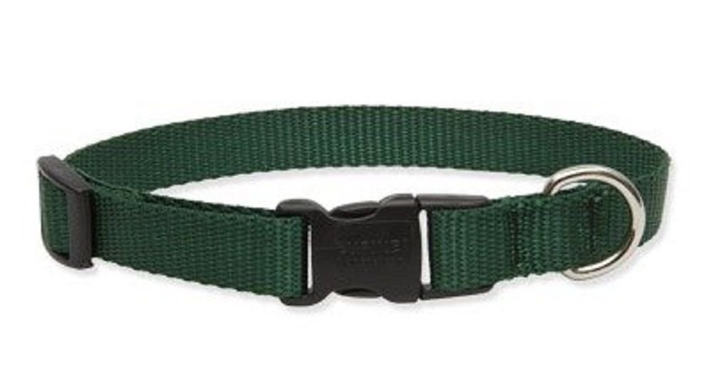 Lupine CollarSolid Green Color 3/4" wide by 913" Adjustable with