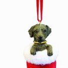 CHOCOLATE LABRADOR in Stocking Christmas Ornament-Santa's Little Pals-by E&S Pets