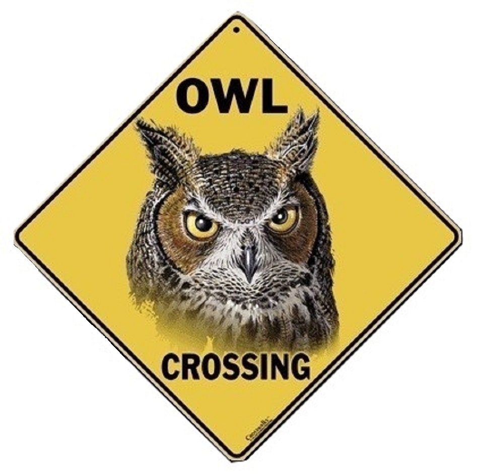 OWL PORTRAIT CROSSING Sign, 12" by 12" on sides-16" on Diagonal-In/Out-Alum