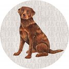 Single Round Absorbent Stone Car Coaster-CHOCOLATE LAB-by Carson Home Accents