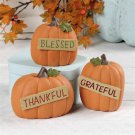 Blossom Bucket Set of 3 Thankful/Grateful/Blessed Pumpkins
