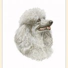 BOXED Note Cards by Fiddler's Elbow-WHITE POODLE