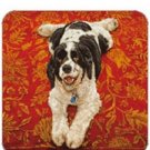 Cork Back Coaster-Dog Design SPRINGER SPANIEL-Create Your Own Set!