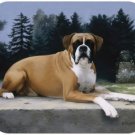 MOUSE PAD--Boxer on Path-Polyester Front Neoprene Back**Beautiful**