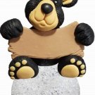 Spoontiques Blank Personalizable Lighted Color Changing Bear Ornament