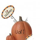 University of Illinois Pumpkin Figurine by Blossom Bucket-I Love Illinois Sign