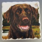 Tumbled Stone Single Dog Magnet-Chocolate Labrador by Highland Graphics