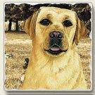 Tumbled Stone Single Dog Magnet-Yellow Labrador by Highland Graphics