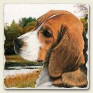 Tumbled Stone Single Dog Magnet-Beagle by Highland Graphics