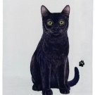 E&S Pets Black Cat Kitchen Towel 18" by 26"--100% Cotton, Machine Washable