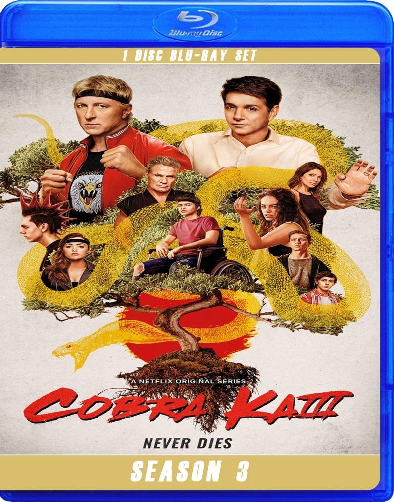 Cobra Kai Season 3