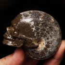 Natural conch ammonite fossil hand carved polished crystal skull 198g 1 piece H7