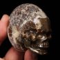 Natural conch ammonite fossil hand carved polished crystal skull 198g 1 piece H7