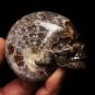 Natural conch ammonite fossil hand carved polished crystal skull 198g 1 piece H7