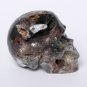 2.8" Rare Natural Green Ghost Phantom Quartz Crystal Skull Healing Skeleton TL5