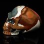 2.8" Stunning  OCEAN JASPER Hand Carved Mayan Alien Crystal Skull Healing YH1