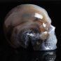 2.5" Gemstone Crazy Lace Agate CRYSTAL SKULL Laughter! Increase Energy! TM14