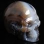 2.5" Gemstone Crazy Lace Agate CRYSTAL SKULL Laughter! Increase Energy! TM14