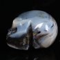 2.5" Gemstone Crazy Lace Agate CRYSTAL SKULL Laughter! Increase Energy! TM14