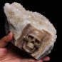 Stunning Giant 7" Quartz Druse Carved Crystal Skull Cluster clear sculpture TC12